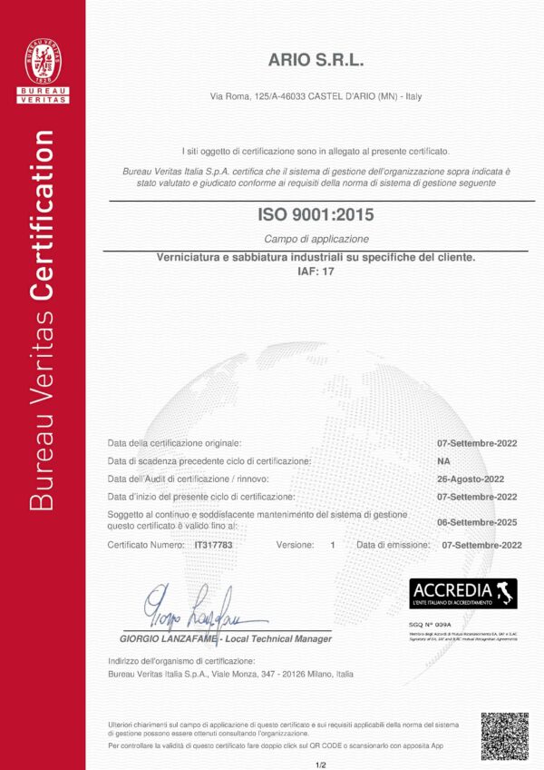 Certificate-IT317783_ARIO-SRL-ISO-9001-REV1-1